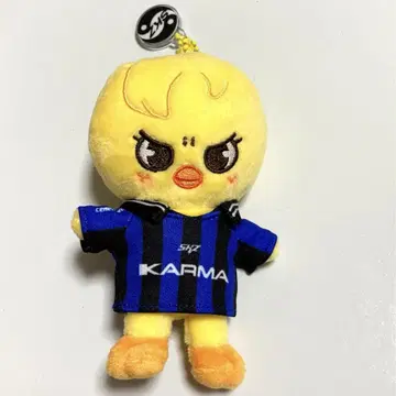 Stray Kids KARMA skzoo 포가리