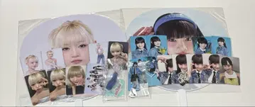 이이다 시즈키 정리