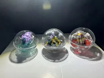 포켓몬 테라리움 컬렉션 전설 포켓몬 3마리 세트