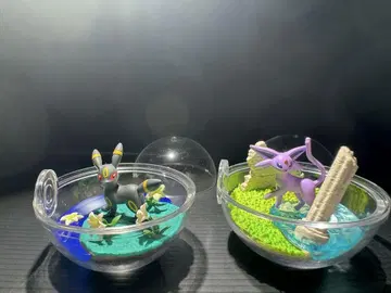 포켓몬 테라리움 컬렉션 에브이, 블래키 세트