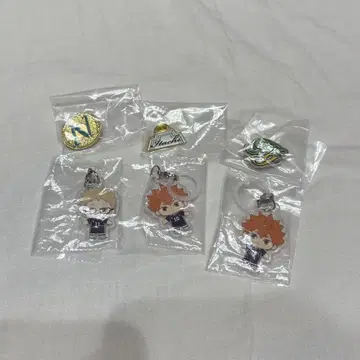 하이큐 가챠가챠 핀즈 배지 아크릴 키링