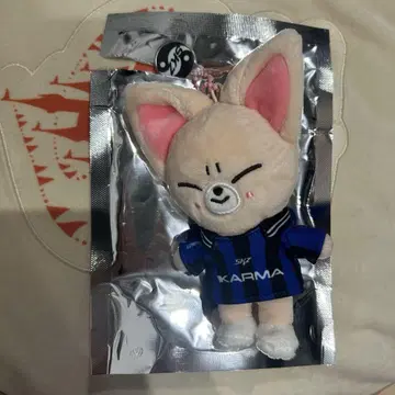 stray kids KARMA SKZOO 키링 아이엔