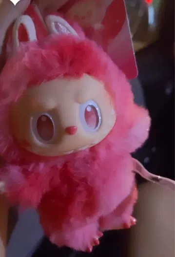 러브브