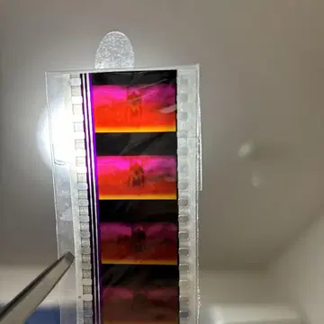 에반게리온 신극장판: 서 DVD 특전 필름 조각 초호기