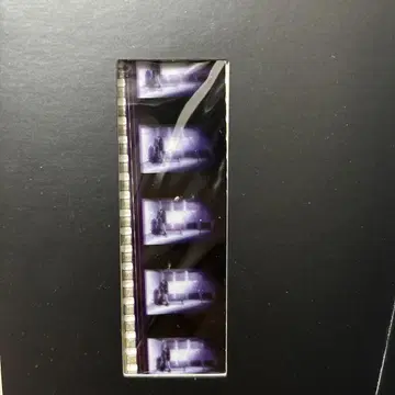 에반게리온 신극장판: 서 DVD 특전 필름 조각 신지 미사토