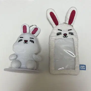 SEVENTEEN MINITEEN CHOITCHERRY 세트