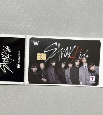 StrayKids WOWPASS 그룹 스키즈