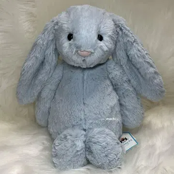 jellycat 오리지널 Bashful Beau Bunny 토끼