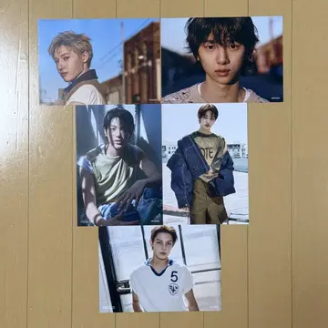 cortis 코르티스 타워 레코드 플라이어 컴프 5장