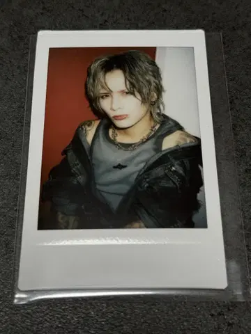 Royz 스바루 폴라로이드