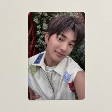 cortis 코르티스 타워 레코드 럭키 드로우 트레이딩 카드 공호