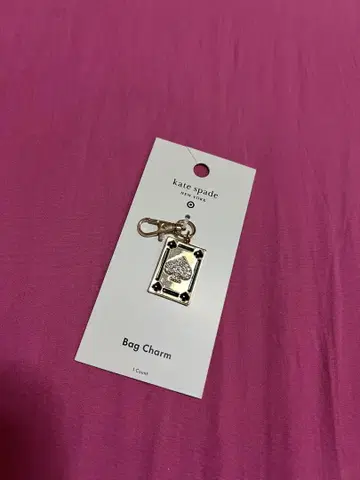 케이트 스페이드 타겟 백참