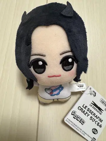 LE SSERAFIM CRAZY SD 인형 은채 남코 한정판
