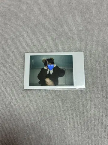 AVAM 시노노메 아오조라 폴라로이드