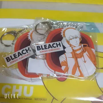 BLEACH 쿠로사키 이치고 복권 메이트 애니메이트 아크릴 키링