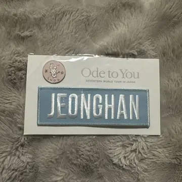 SEVENTEEN OdetoYou 정한 와펜
