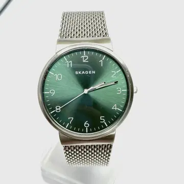 R7-3295 SKAGEN SKW6184 그린 다이얼 메쉬 밴딩