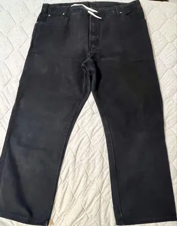Dickies 페인터 데님 팬츠