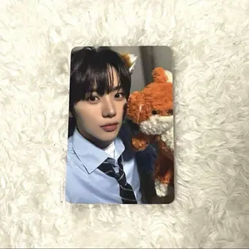 [ 새상품급 ] AHOF 웅기 혜택 트레이딩 카드 아푸뮤