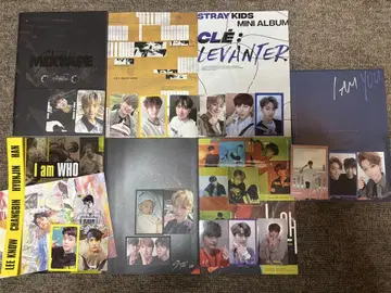 Stray Kids 앨범 세트 (9/14까지 트레이딩 카드 포함)