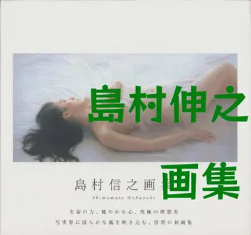 시마무라 노부유키 화집 사실 회화