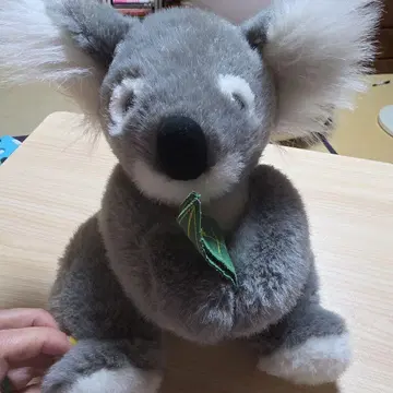 코알라 봉제 인형 그레이/화이트