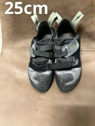 이볼브 크로노스 25cm 리솔 제품