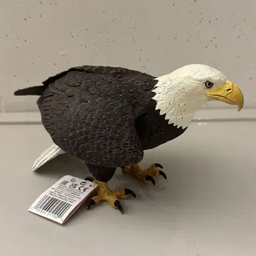 safari 사파리 흰머리수리 특대형