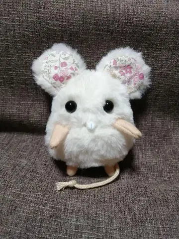 미니츄 씨