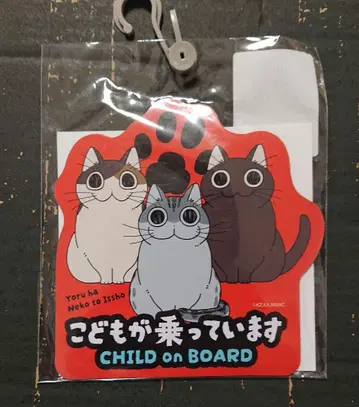 큐루가 마그넷 시트