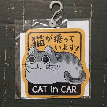 큐루가 마그넷 시트