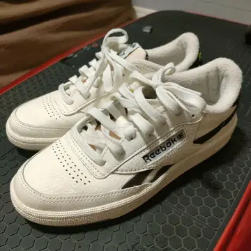 Reebok 클럽 C 23cm