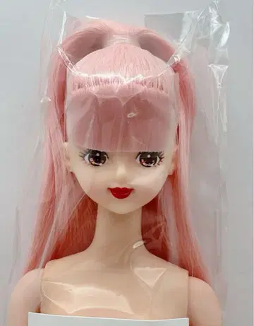 미래의 즐거움 인형 제니 친구 리카짱 캐슬 빨간 립