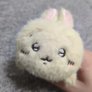 초기 토끼 호와호와 마스코트