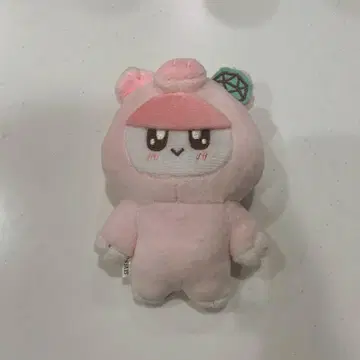 seventeen 모자 꽁지 돼지