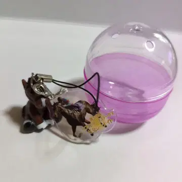 캡슐 토이 아이돌 호스 픽시 나이트