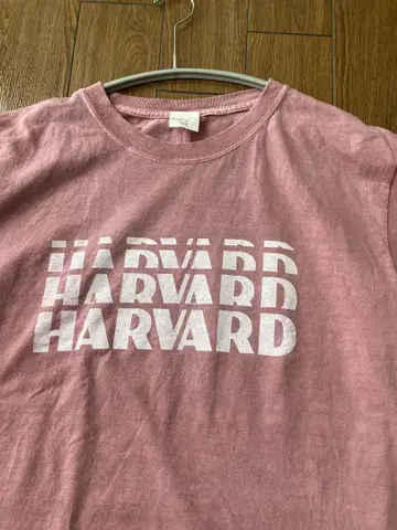 BEAMS BOY HARVARD 로고 반팔 T셔츠 핑크