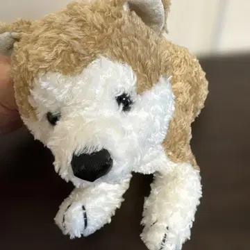 HACHI 개 모양 봉제 인형