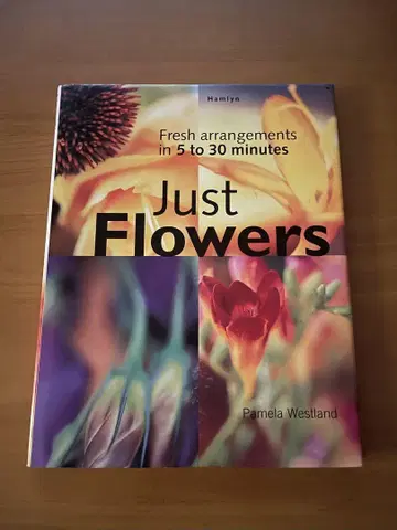 Just Flowers by Pamela Westland 꽃 어레인지먼트