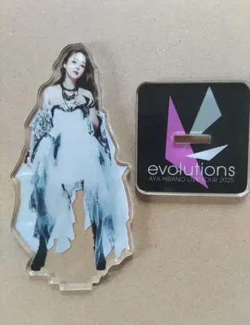 히라노 아야 랜덤 아크릴 스탠드 evolutions