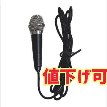 1/3 DD SD13 마이크 블랙