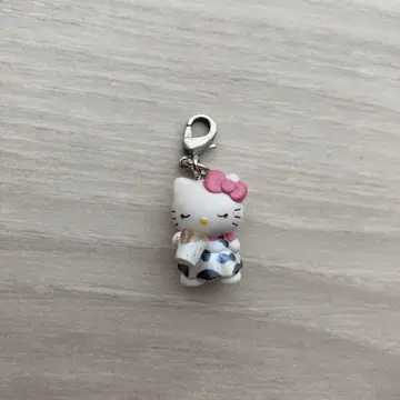 히루젠 목장 키티 한정판 키티 지역 한정 키티 키티 초레어 레어템