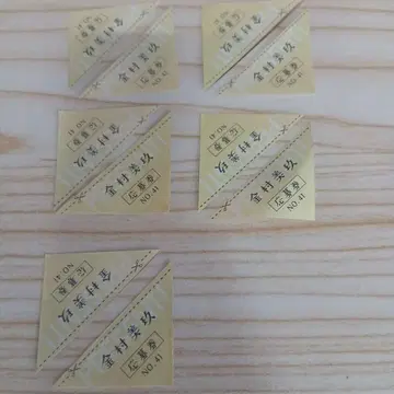 카네무라 미쿠 응모권 매거진