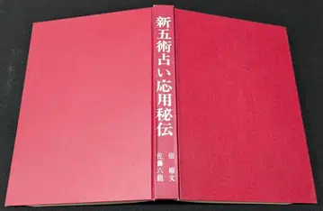 신오술 점술 응용 비전