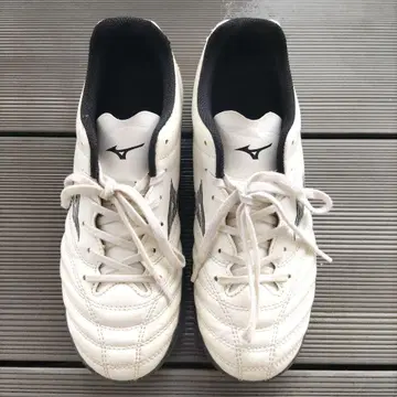 Mizuno 모나르시다 화이트/블랙