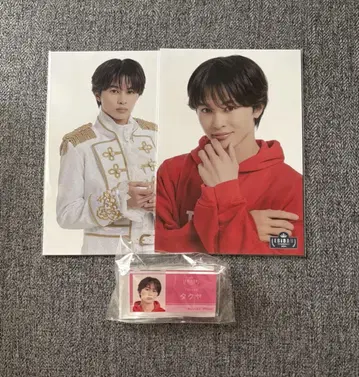 ebidan museum 2024 명찰 배지 엽서 초특급 타쿠야