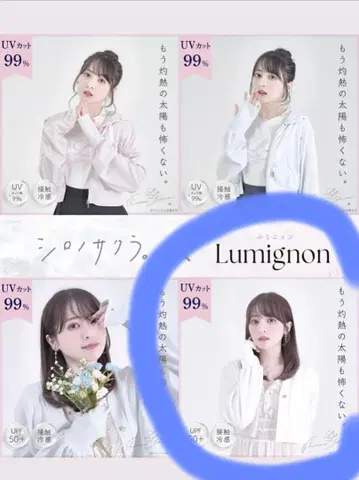 시로노 사쿠라 미뇽 콜라보 가디건