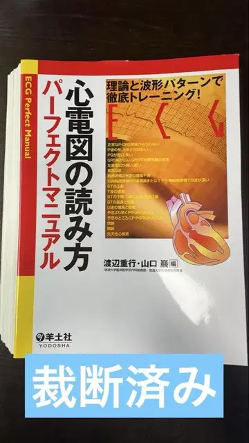 심전도 읽는 법 퍼펙트 매뉴얼 이론과 파형 패턴으로 철저 트레이닝