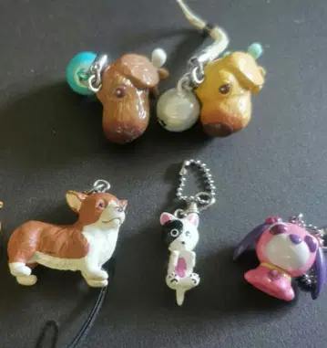 강아지 스트랩 5세트