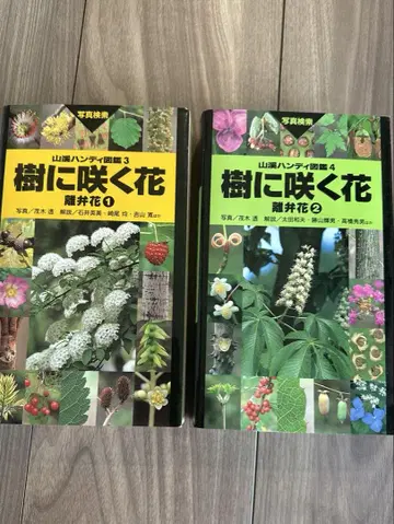 나무에 피는 꽃 이판화 12